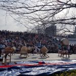 Cherry Blossom Festival at Roosevelt Island