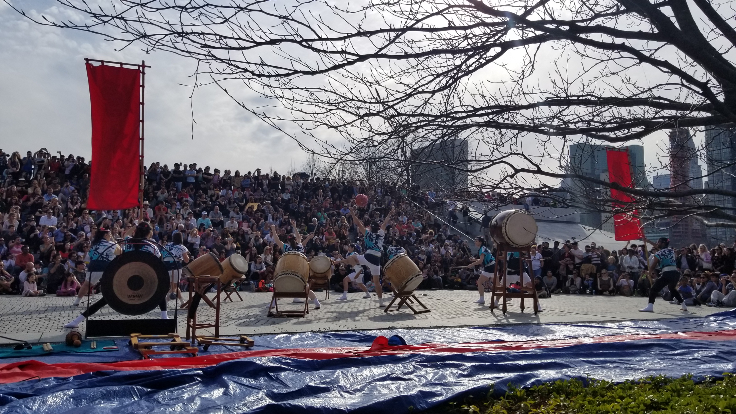 Cherry Blossom Festival at Roosevelt Island